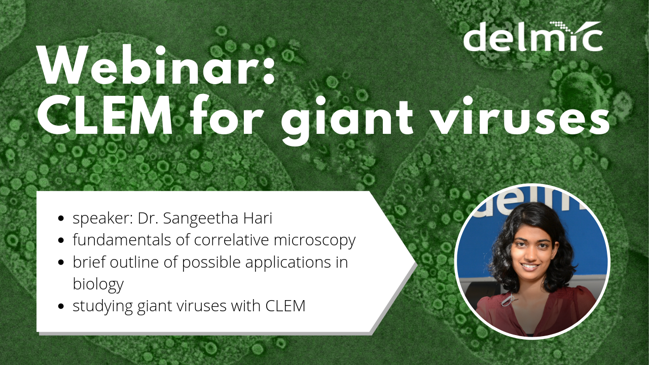 Webinar: giant viruses under (correlative light and electron) microscope